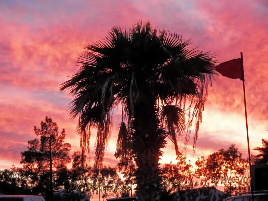 22-wagon-west-rv-park-quartzsite-arizona-desert-oasis-full-hook-up-big-rig-camping-sites